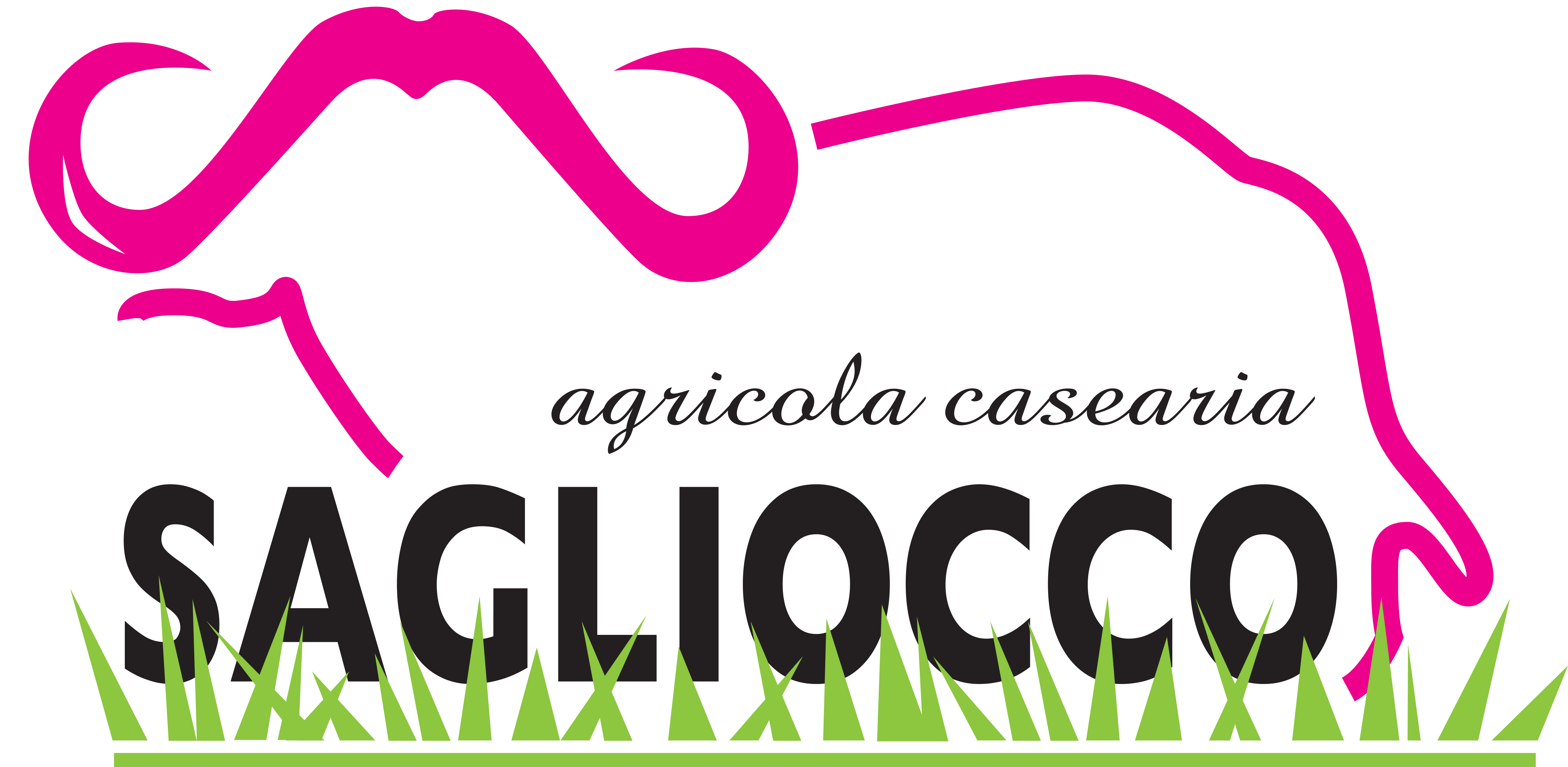 Agricola Casearia Sagliocco Società Cooperativa